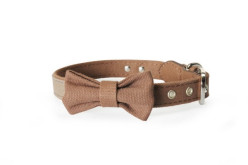 CAMON Obojok brown/green, 15 x 350 mm, hnedá