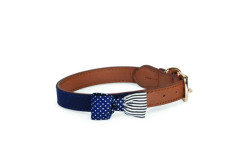 CAMON Obojok American Flag - blue, 13 x 300 mm, modrá
