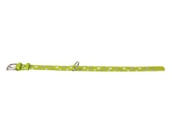 COLLAR Kožený obojok s hviezdami Glamour, 21-29cm/12mm, zelená