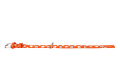 COLLAR Kožený obojok s hviezdami Glamour, 21-29cm/12mm, oranžová