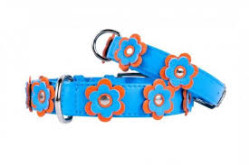 COLLAR Kožený obojok Glamour modrý s kvietkami M, 38-49 cm, modrá