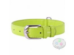 COLLAR Kožený obojok Glamour, 46-60cm /35mm, zelená