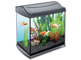 detail AKVARIUM TETRA Aqua Art 20 l - Krevet