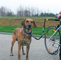 detail CAMON Walky dog tyč na bicykel