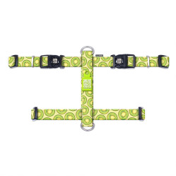 POSTROJ Kiwi M