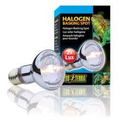 EXO TERRA Žiarovka Halogen Basking Spot, 100W