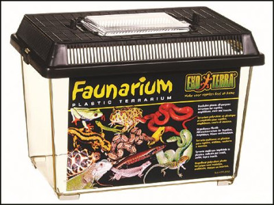 FAUNARIUM EXO TERRA male