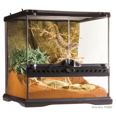 TERARIUM EXO TERRA Nano 30 x 30 x 30 cm