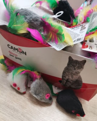 CAMON Hračka cat myška s perím