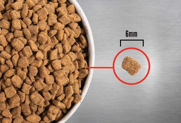 detail ORIJEN Small Breed Puppy 4,5kg