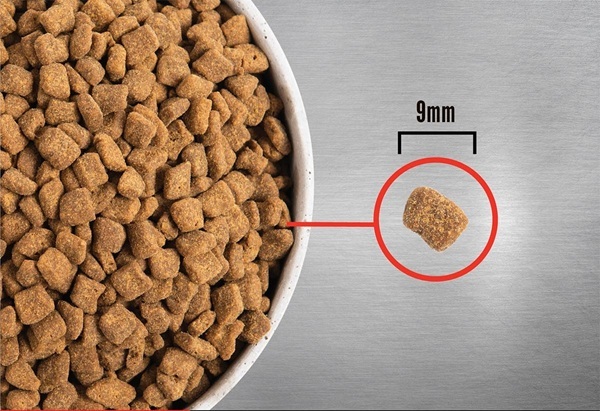detail ORIJEN Small Breed 4,5 kg