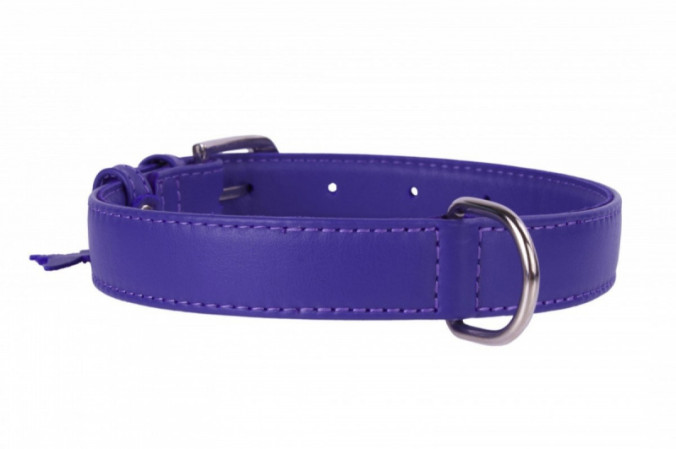 detail COLLAR Kožený obojok Glamour, 46-60cm/35mm, fialová