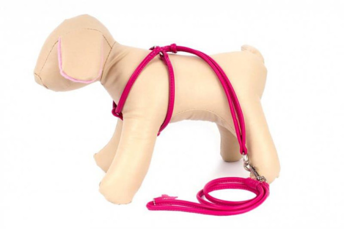 detail COLLAR Kožený postroj okrúhly s vodítko, 46-66cm 40-60cm, ružová