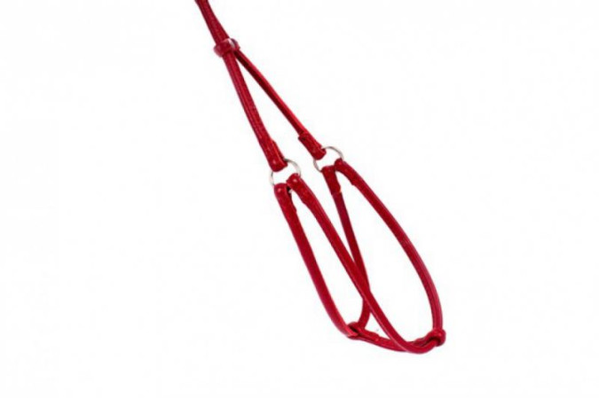 detail COLLAR Kožený postroj okrúhly s vodítkom, 27-35cm 22-32cm, červená