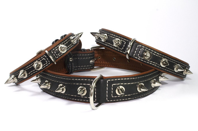 detail COLLAR Obojok kožený s ozdobami dvojvrstvový, 38-50cm /25mm, čierna