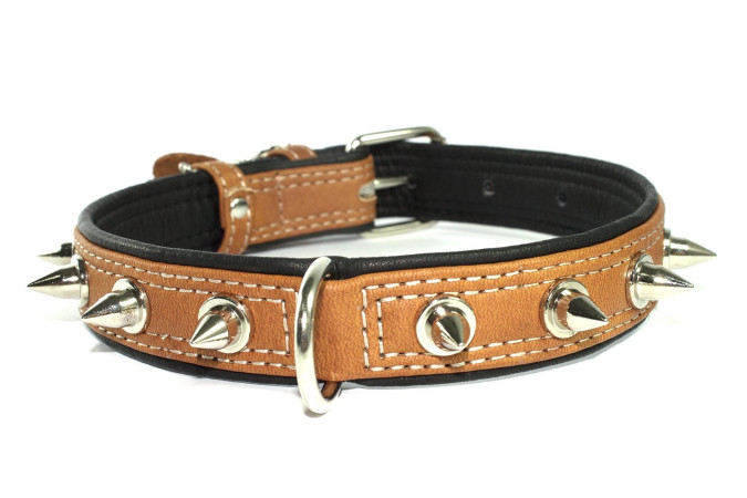 detail COLLAR Kožený obojok zdobený ostňami Soft, 40-60cm/35mm, hnedo-čierna