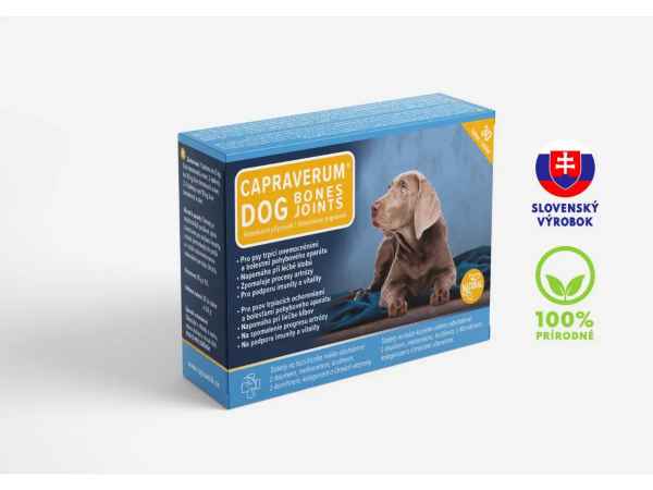 detail CPRV DOG bones joints 30 tbl.