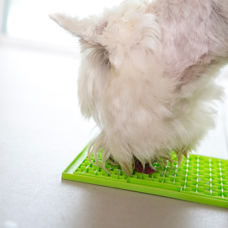 detail LM Buddy lízacia podložka, 23x20x20 cm, zelená