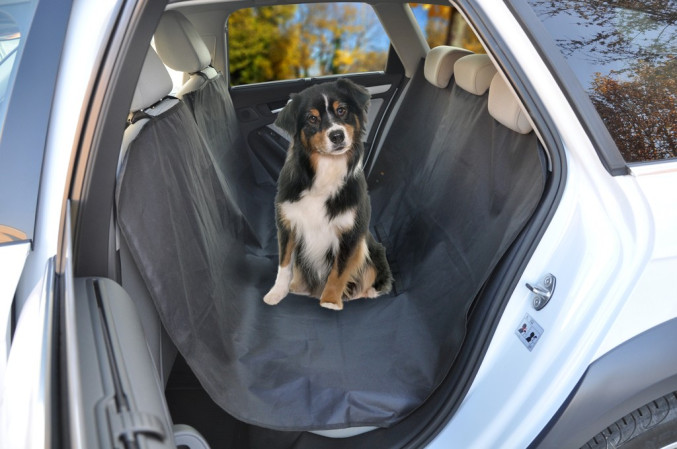 detail CAMON Poťah na zadné sedadlo, 160x145cm