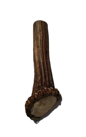 detail Paroh jeleň celý, rezaný XL, nad 150g