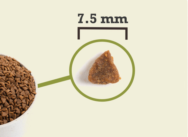 detail ACANA First feast cat 1,8 kg
