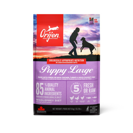 detail ORIJEN Puppy Large 6 kg Granule