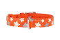 náhľad COLLAR Kožený obojok s hviezdami Glamour, 38-49cm/25mm, oranžová