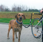 náhľad CAMON Walky dog tyč na bicykel