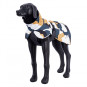 náhľad RUKKA PETS Bunda Stormy, 60cm