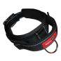 náhľad PATENTO PET Obojok Nylon podšitý s odpruženým úchytom, XL 61-71cm