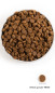 náhľad ACANA Wild Coast 9,7 kg RECIPE
