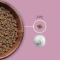 náhľad ACANA Kitten Cat, 1,8kg