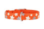 náhľad COLLAR Kožený obojok s hviezdami Glamour, 27-36cm/15mm, oranžová