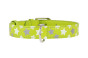 náhľad COLLAR Kožený obojok s hviezdami Glamour, 27-36cm/15mm, zelená