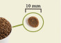 náhľad ACANA Wild Prairie cat grain-free 340 g