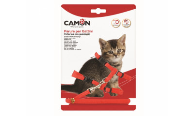 CAMON Set Kitten postroj + voditko, 8 x 1200 mm