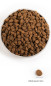náhľad ORIJEN 6 Fish 6 kg Granule